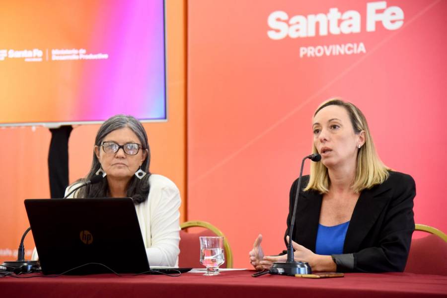 Ghilotti: “La quita de subsidios al transporte aumenta la desigualdad”