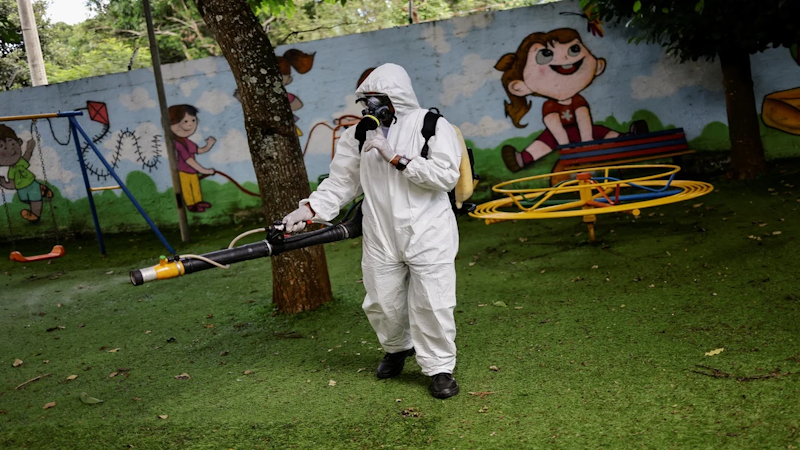 Río de Janeiro: los casos de dengue ya superan el total de 2023
