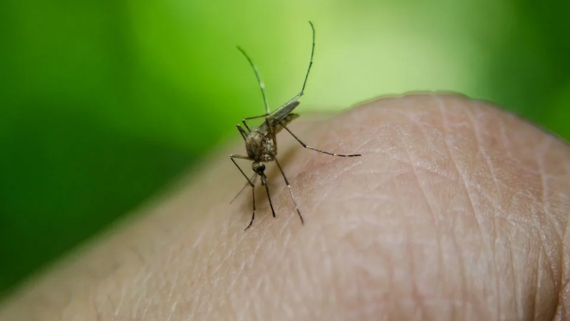 Primera muerte por dengue en la provincia