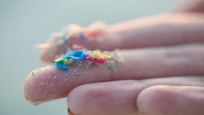 Hallan microplásticos en placentas humanas