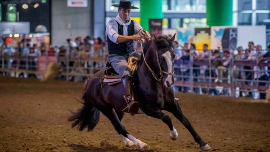 Un grupo de activistas veganos interrumpió una exhibición de caballos en La Rural