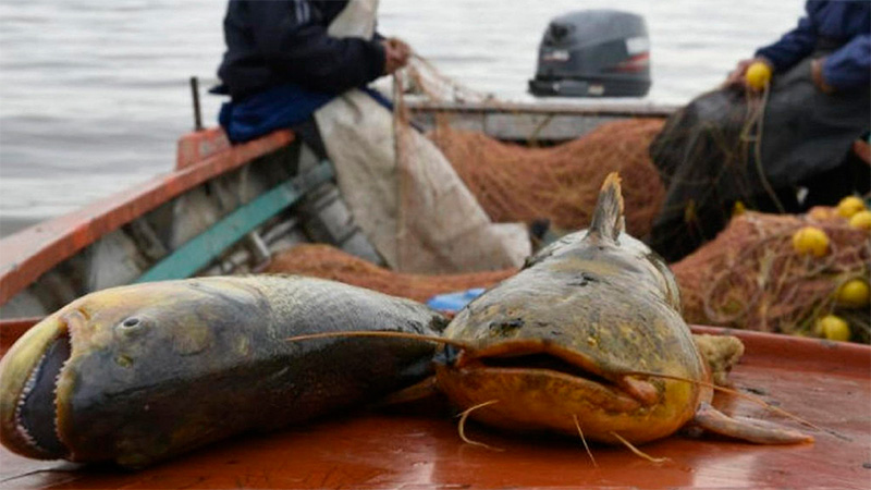 Provincia multó a pescadores por cometer infracciones a la Ley de Protección de la Fauna Ictícola