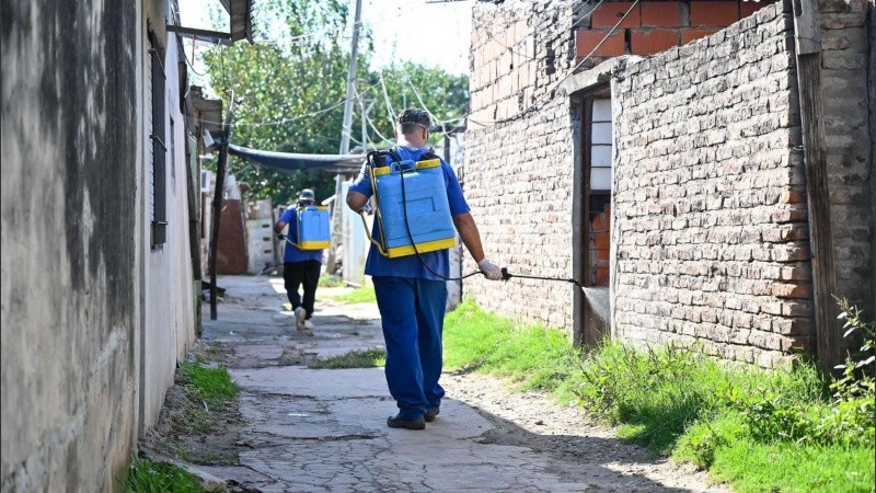 Piden que se declare la emergencia sanitaria por dengue en Rosario