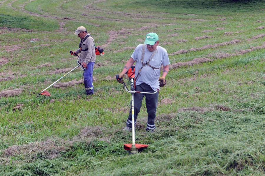 Servicios municipales previstos para esta semana