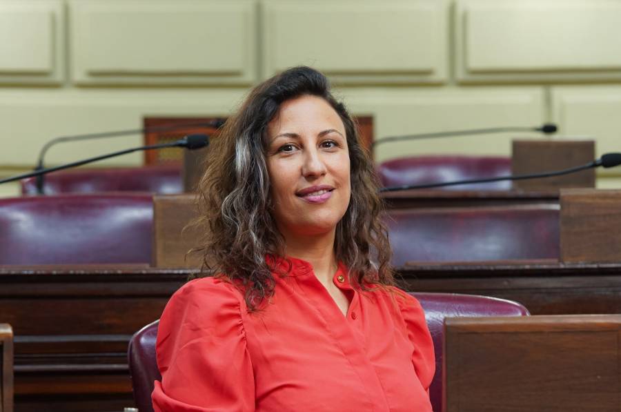 La diputada socialista Varinia Drisun denuncia desfinanciamiento del sistema nacional de salud pública