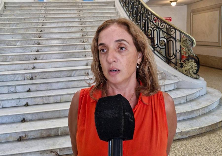 Dengue: situación epidemiológica en la Provincia de Santa Fe