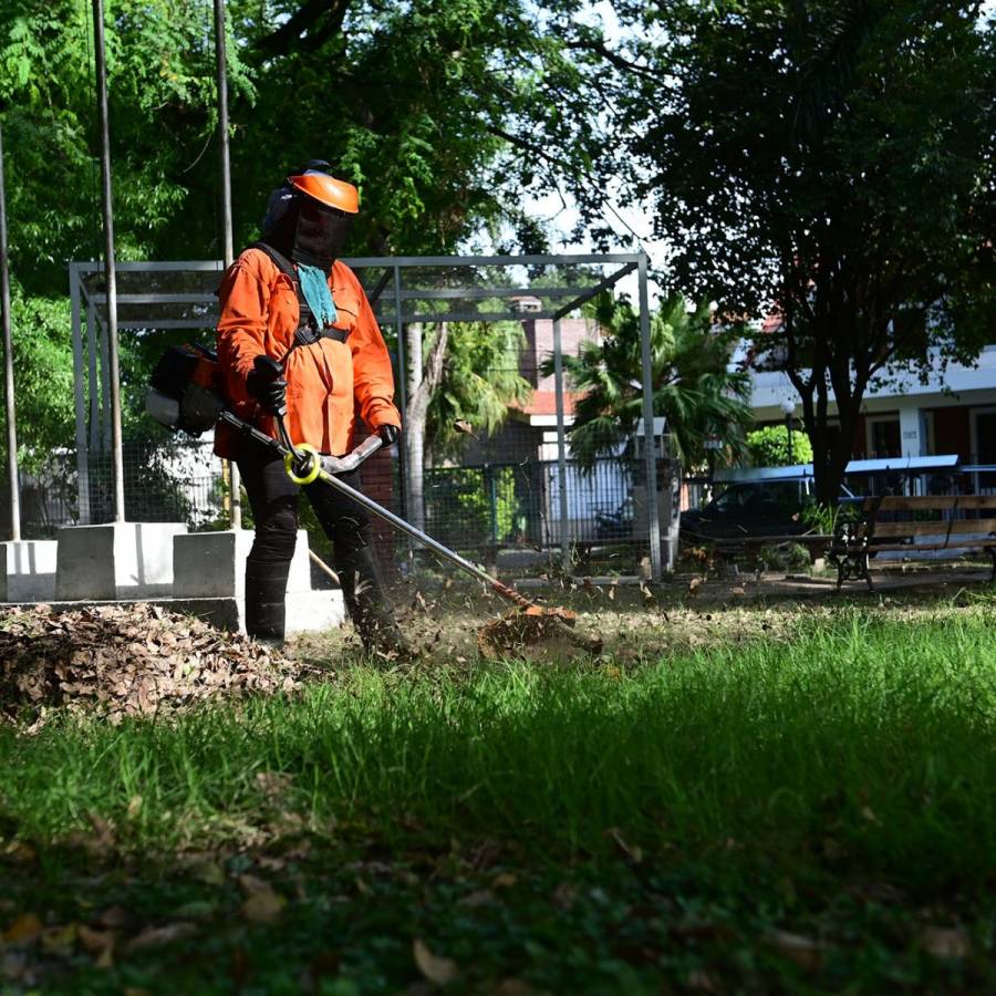 Servicios municipales previstos para esta semana