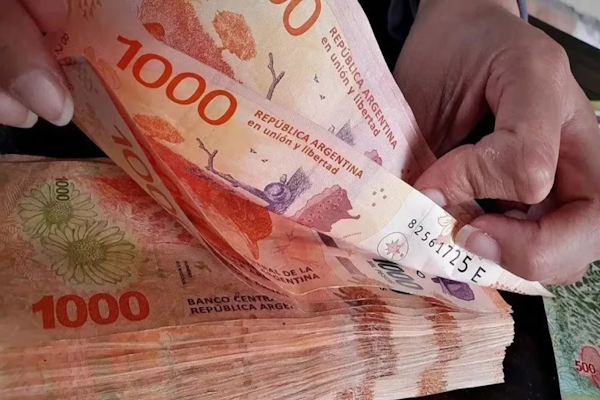 ANSES: quiénes cobrarán el AGUINALDO en junio 2024