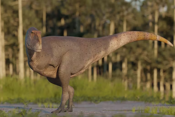 Patagonia argentina: hallaron una nueva especie de dinosaurio carnívoro