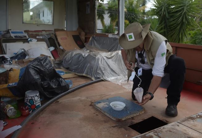 Dengue en Brasil: casi cinco millones de casos y 3.000 muertos