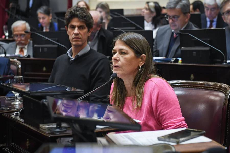 Tagliaferri apuntó contra Adorni por su sueldo: 