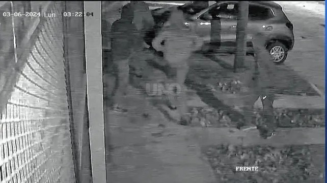 Captaron a delincuentes ingresando a la fuerza a una vivienda para robar una moto