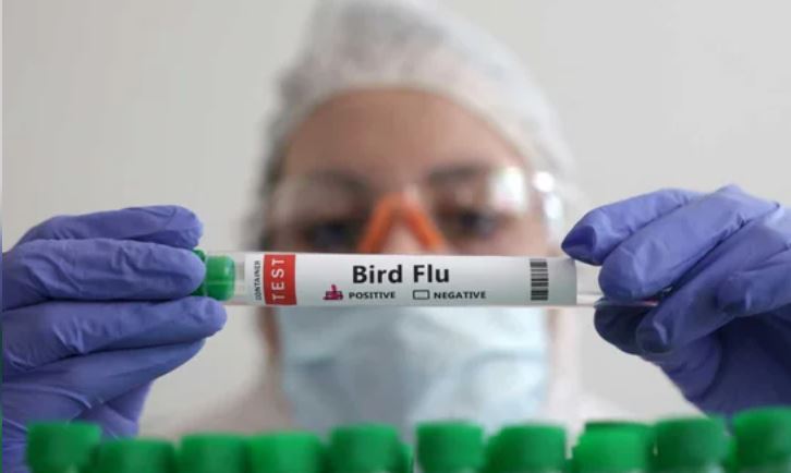 México aclaró que la persona con gripe aviar AH5N2 murió por padecimientos crónicos y no del virus