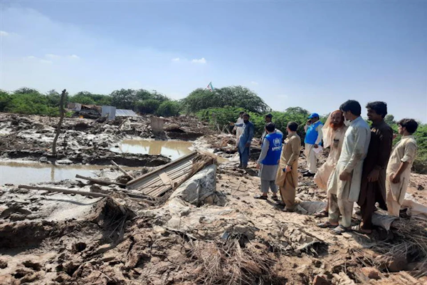 Refugiados en la región: Brasil, Colombia, Perú y Ecuador con la mayor cantidad