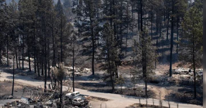 Un incendio forestal dejó cinco muertos y 44 heridos en Turquía