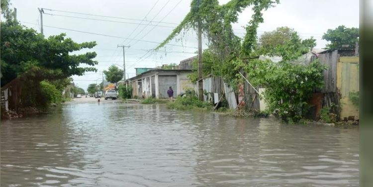 Estados Unidos: el huracán Debby golpeó Florida y al menos una persona murió