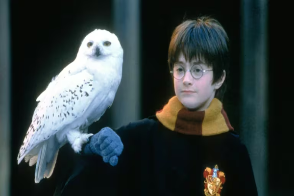 Inició el casting para hallar al nuevo Harry Potter