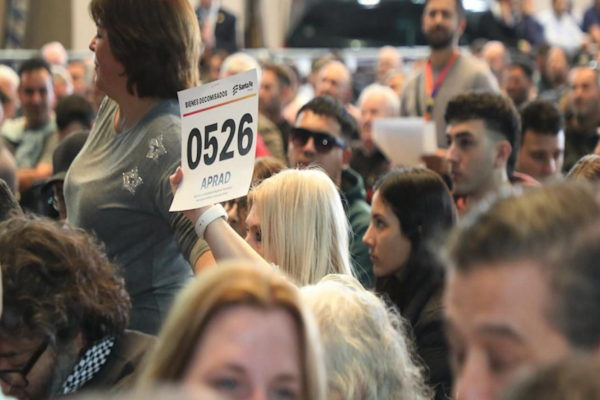 La Provincia recaudó más de $ 1.120 millones con las subastas 