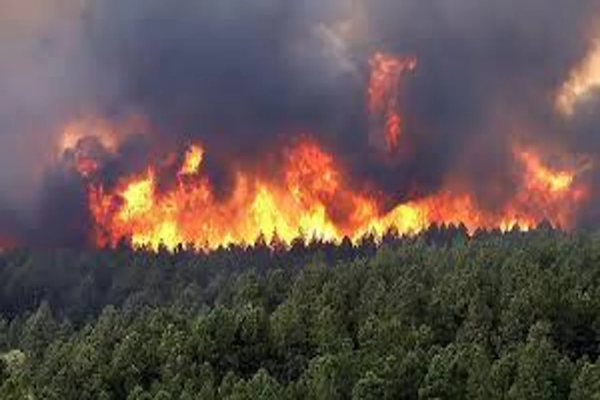 En Colombia se incrementan los incendios forestales