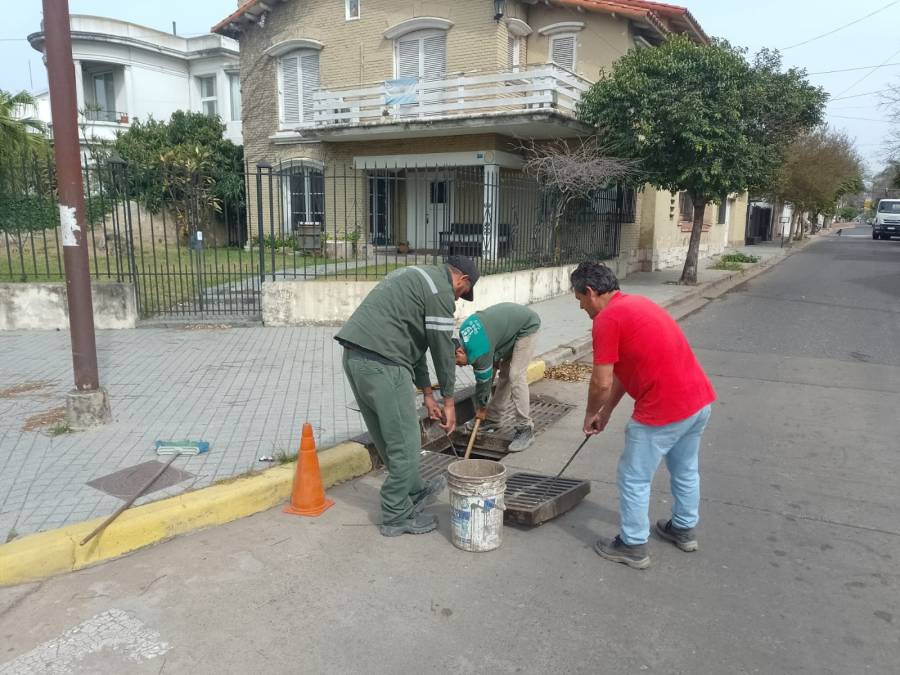 Se retiraron más de 1100 toneladas de basura y hasta un árbol