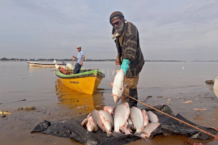 Santa Fe convoca a la Audiencia Pública Anual de Pesca