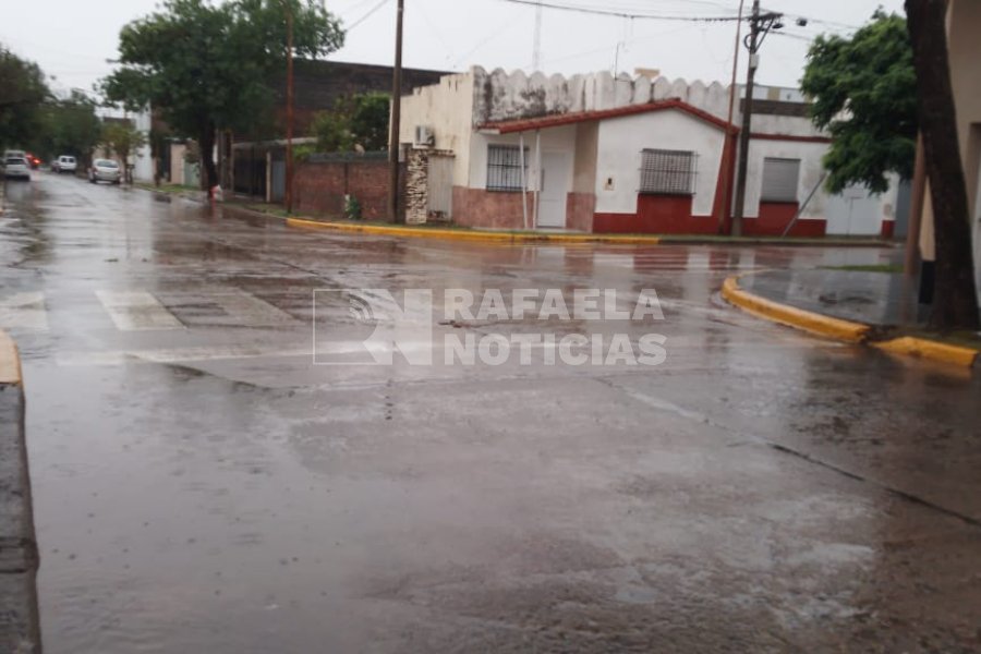 Suspensión de clases, árboles caídos y viviendas afectadas