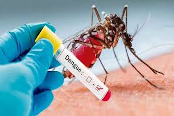 Rosario: confirmaron ochos casos positivos de dengue 