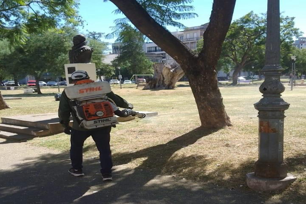 Se informa el cronograma de fumigaciones 