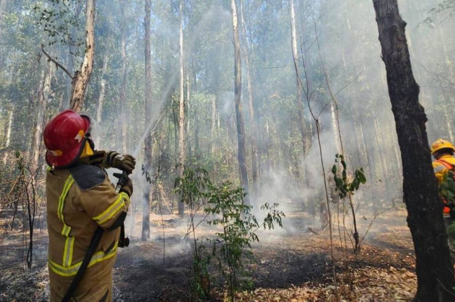 La lluvia trajo alivio frente a los 400 incendios activos en la provincia