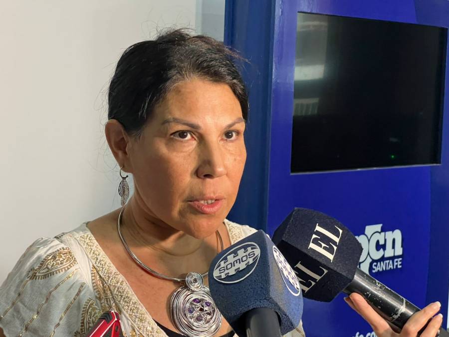 Dengue: recomiendan a quienes hayan ido a Brasil colocarse repelente por 10 días por casos asintomáticos
