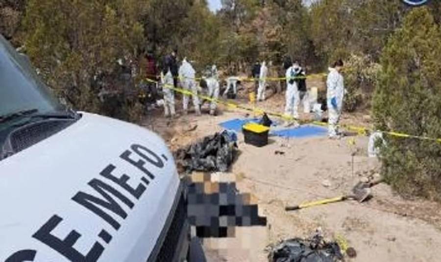 Encontraron 56 cadáveres en fosas clandestinas en el norte de México