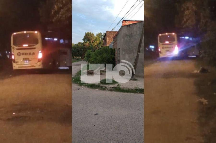 Se robó un colectivo de la empresa Fluviales, chocó e intentó huir