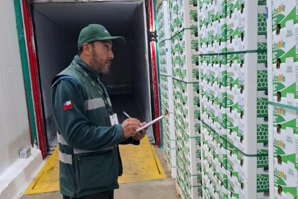 Chile: Funcionarios del SAG van a un paro nacional
