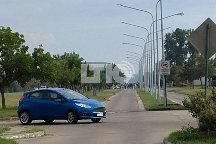 Principio de incendio en la planta de la ex Zoovet