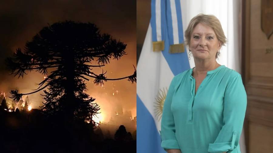 Renunció Ana Lamas, la subsecretaria de Ambiente de la Nación