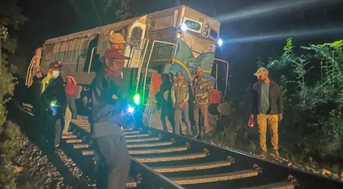 Mueren seis elefantes tras ser embestidos por un tren en Sri Lanka