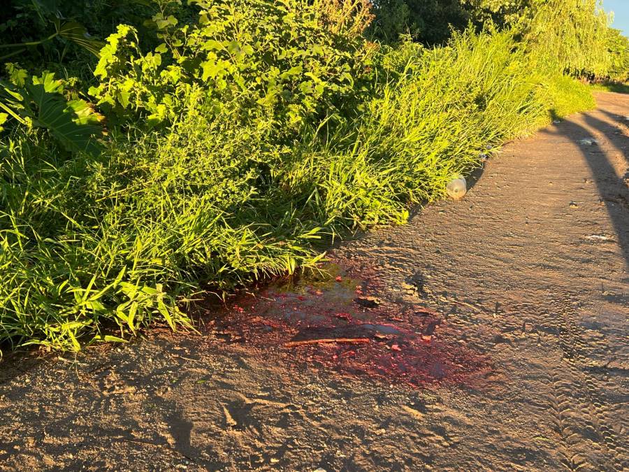 Asesinaron a balazos a un hombre en barrio Scarafía
