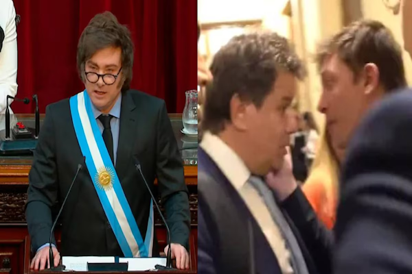 Milei acusó a Facundo Manes de “mentiroso”