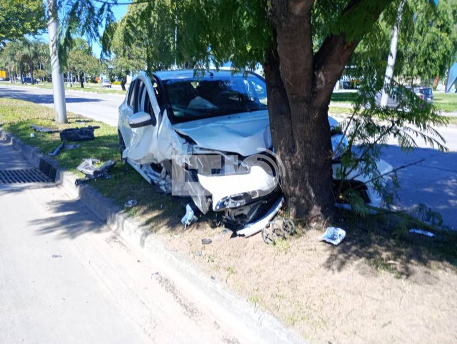 Un camionero lo encerró, hizo que se estampara contra un árbol y huyó