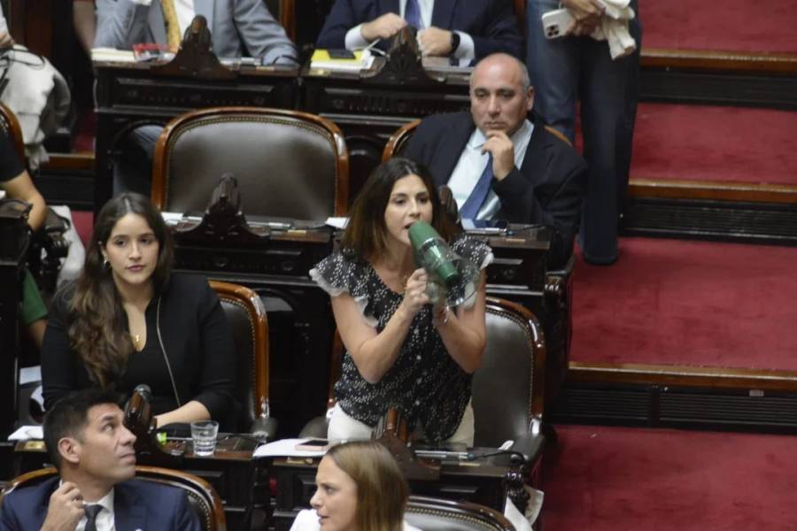 En medio de gritos, sesiona la Cámara de Diputados para tratar el DNU del acuerdo con el FMI