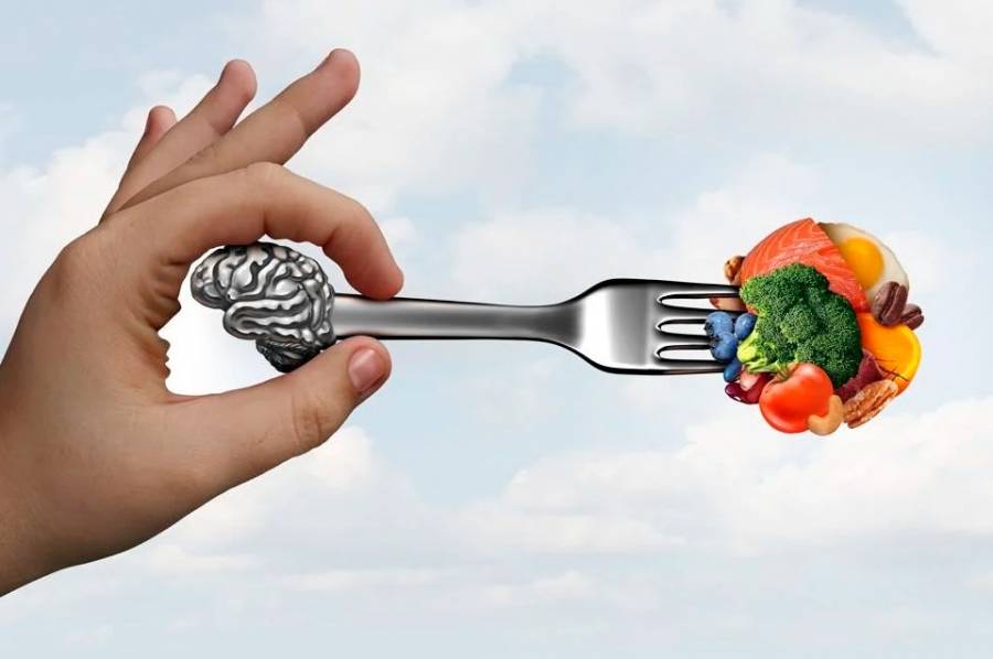 Un estudio reveló los alimentos que generan estrés y dañan el cerebro