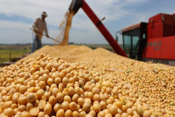 Brasil reemplazaría a EE. UU como proveedor mundial de alimentos
