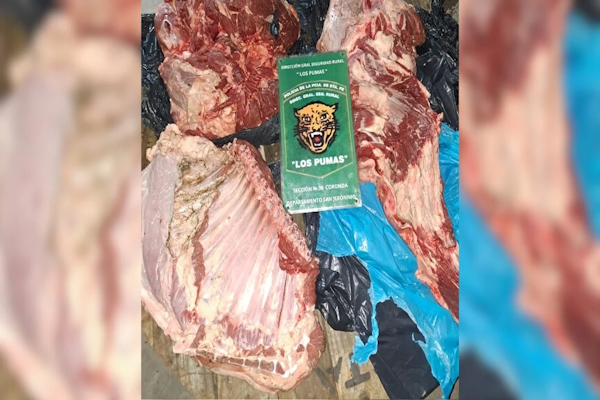 Un hombre fue detenido con más de 60 kilos de carne faenada 