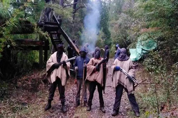 La policía chilena detuvo al líder de la Resistencia Mapuche Lavkenche