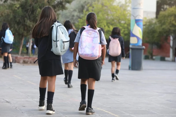Milei licuó las becas Progresar: son 500 mil beneficiarios menos