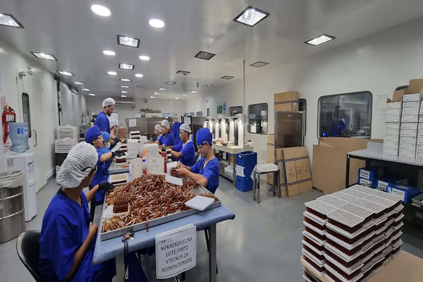 El Malbrán detectó nuevas bacterias en el fentanilo contaminado