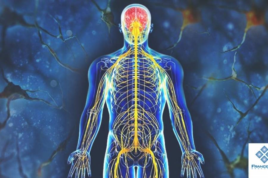 Hormigueos y dolores en extremidades pueden ser signos de neuropatía