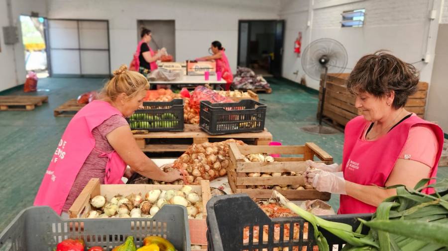 Descuento en el DReI a las que colaboren con el Banco de Alimentos 