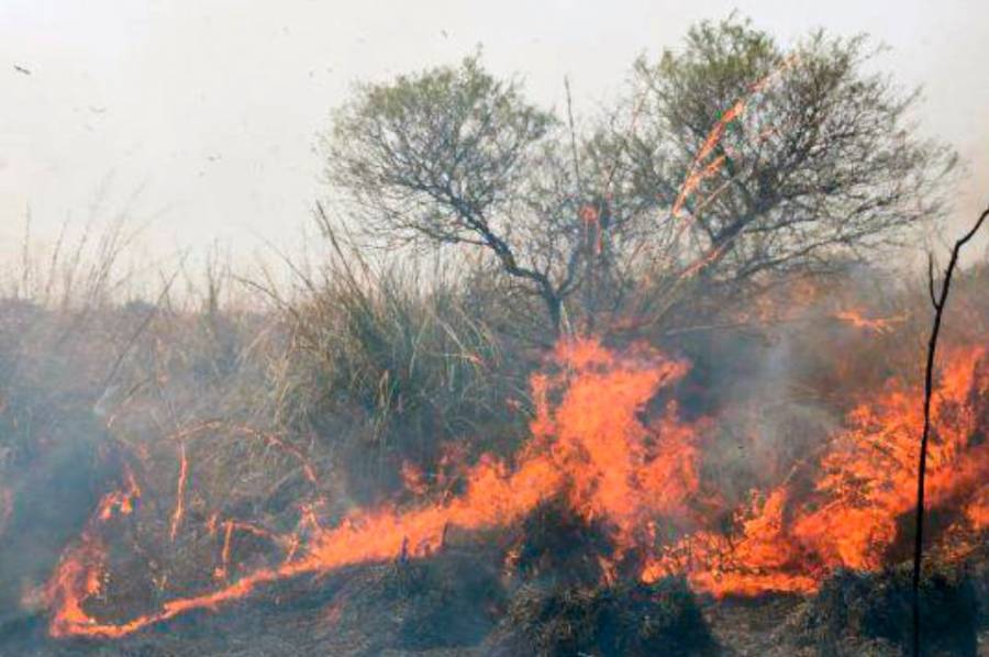 Crecieron las intervenciones de bomberos por la quema de pastizales