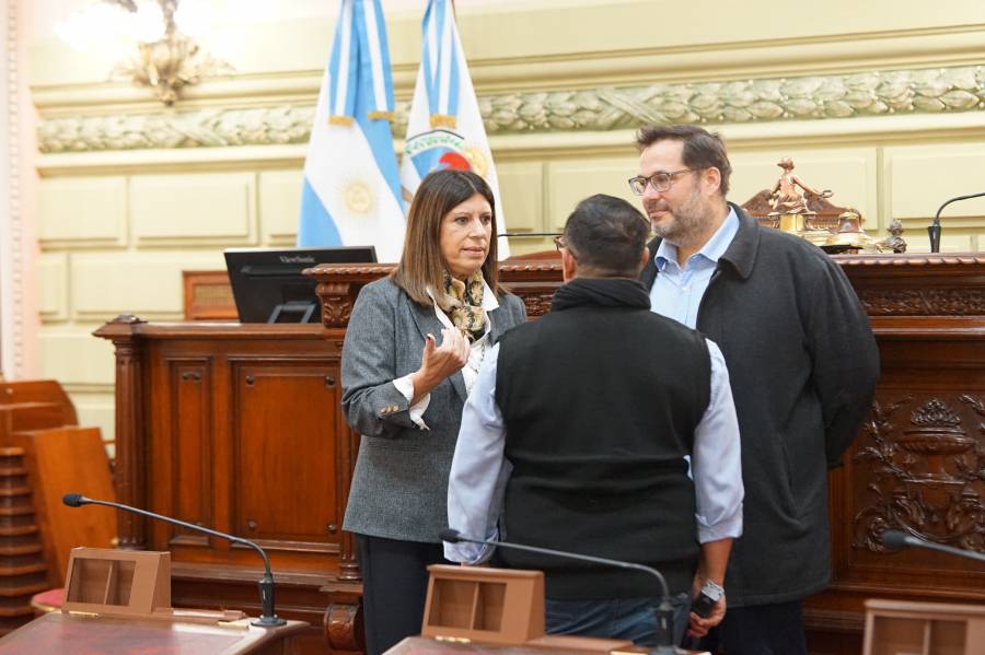 Clara García supervisó las tareas de adecuación de la Cámara de Diputados